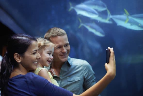 Con un túnel submarino de 83 metros (272 pies) y la mayor colección de tiburones en Europa, será imposible aburrirse aquí.