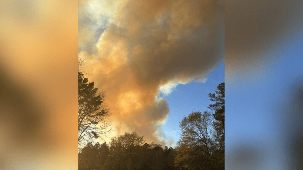 Las autoridades han pedido a algunos residentes evacuar de sus casas, por el riesgo y lo rápido que han incrementado las llamas. 
<a href="https://www.univision.com/local/houston-kxln/incendio-forestal-pauline-road-fire-houston?cache" target="_blank">Aquí puedes leer qué zonas han pedido evacuar y cómo prepararte ante un incendio forestal. </a>