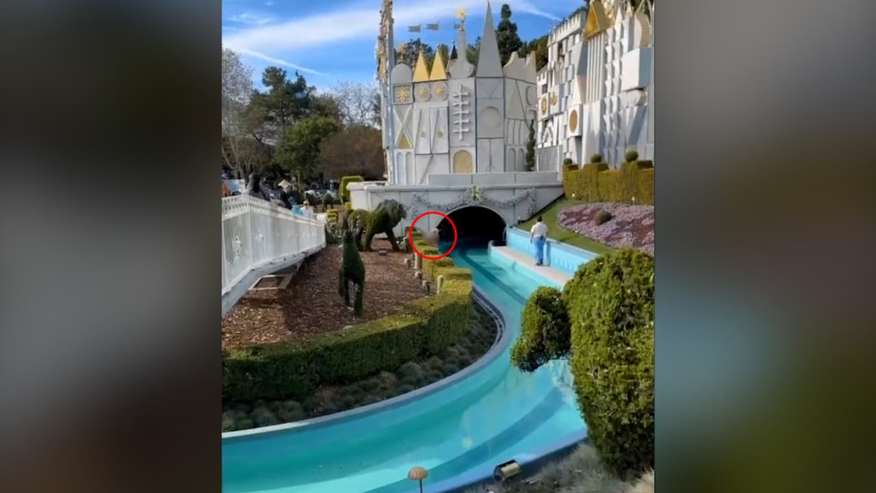 El sujeto fue detenido bajo 
<b>cargos de exposición indecente</b> y de estar 
<b>bajo la influencia de una sustancia controlada.</b>