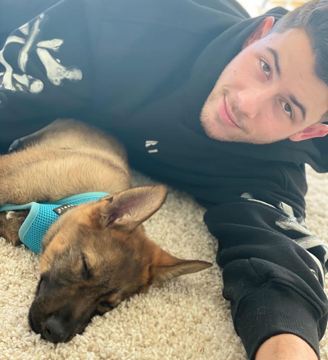 Nick Jonas agradeció a través de sus redes sociales la llegada de Gino: "Pri vino a casa con absolutamente la mejor sorpresa esta mañana. Por favor conozcan a nuestro nuevo cachorro Gino, no he parado de sonreír desde que me desperté esta mañana y finalmente me di cuenta de qué estaba pasando. Gracias Priyanka Chopra".
