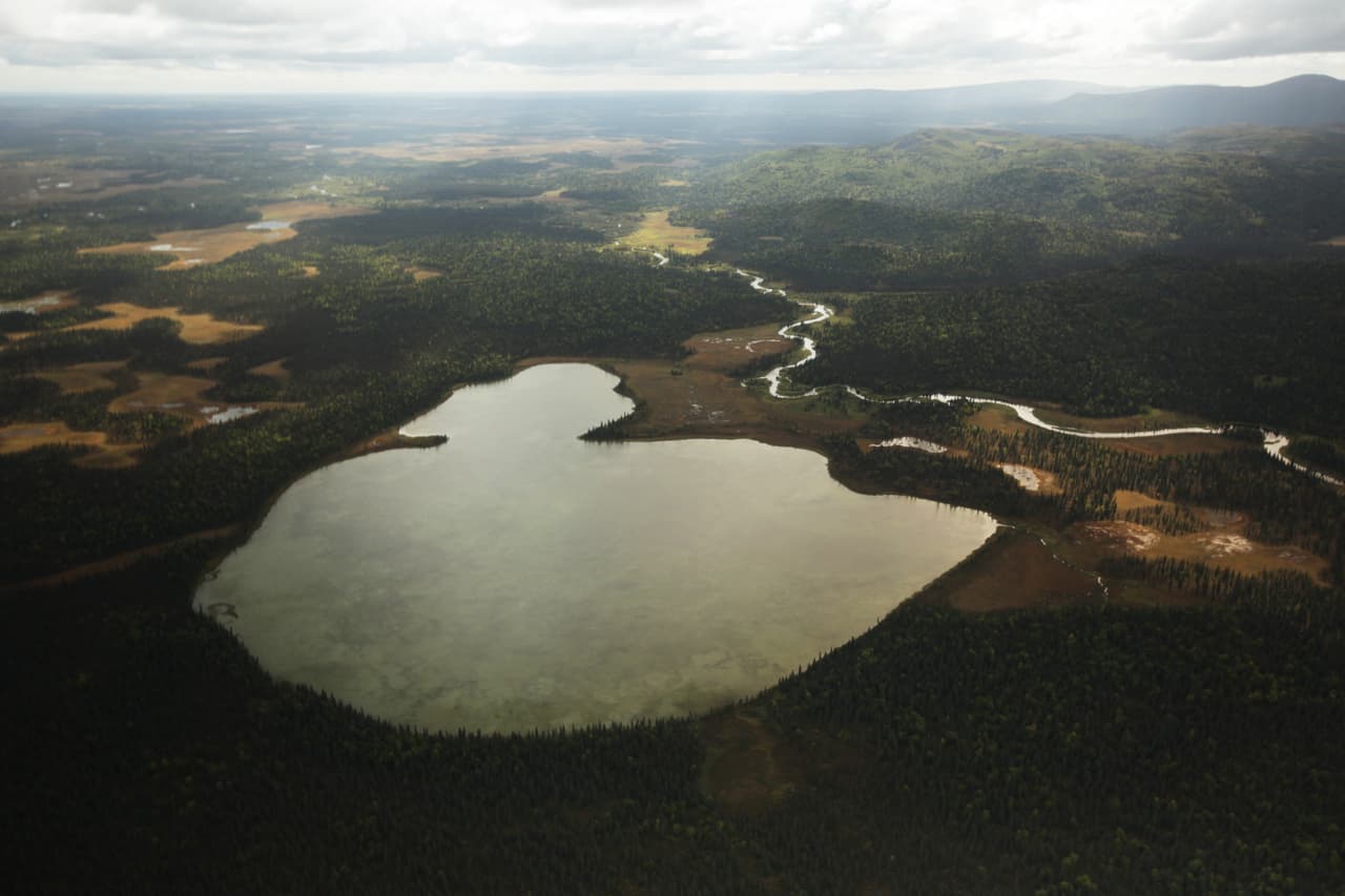 La última glaciación talló el paisaje de la bahía de Bristol. Dejó una capa de grava que hace que convierte a la tierra en un colador: la nieve y la lluvia se filtran a través de la tierra, y eventualmente se percola de nuevo hacia los arroyos y ríos. Este flujo de agua oxigena los huevos de salmón y evita que se congelen, y la grava da a las crías recién nacidoas (denominadas alevines) de salmón buen espacio para esconderse durante los primeros meses de sus vidas.