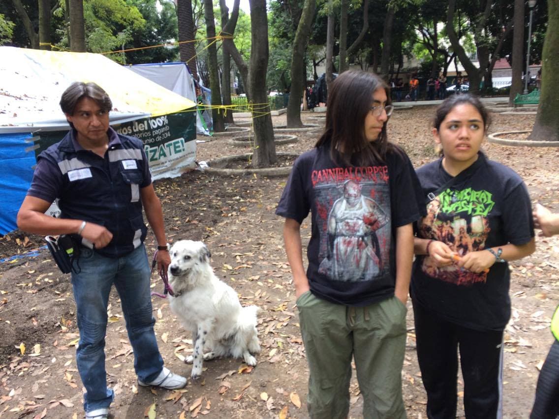 Dos ciudadanos encontraron a una mascota y la llevaron al albergue para que le busquen un nuevo hogar.