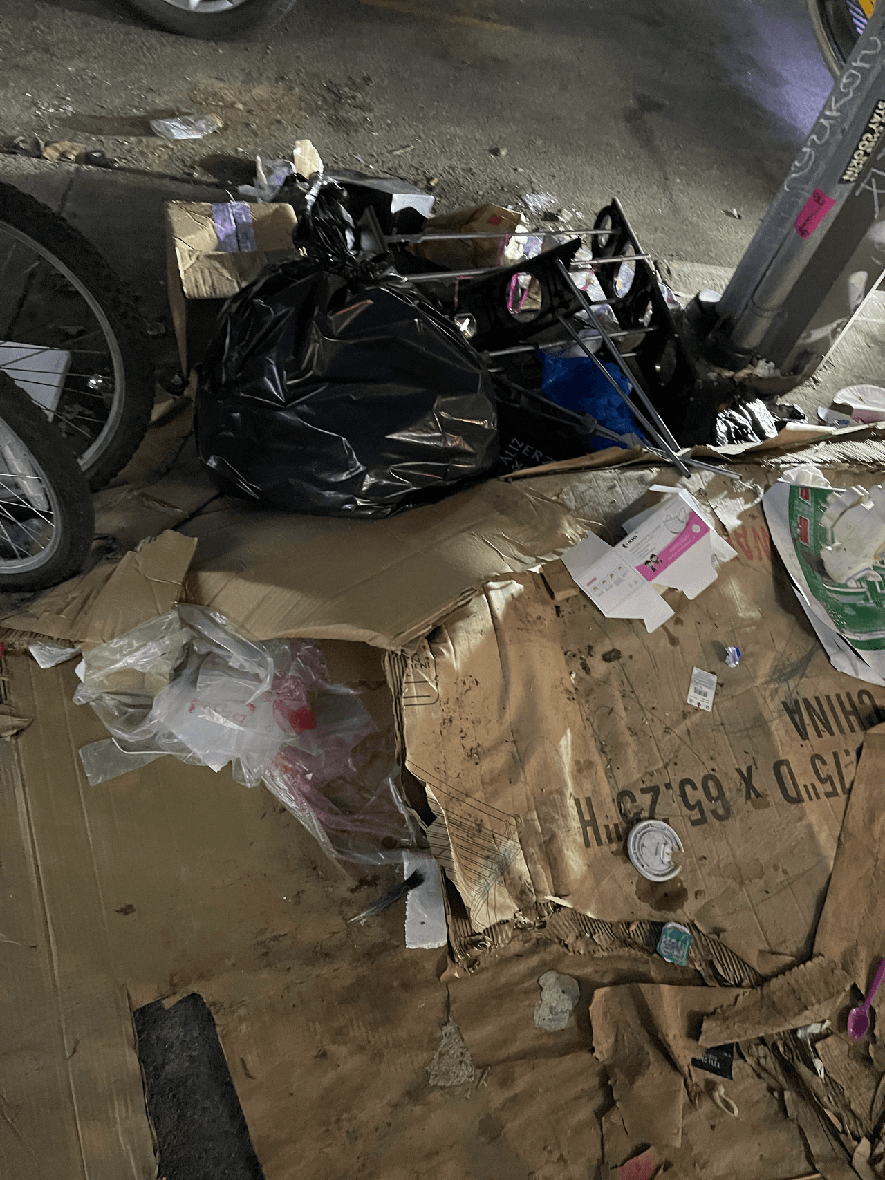 "Hablé con los empleados del Departamento de Sanidad y me dijeron que nunca habían visto una actividad de ratas como ésta", dijo una usuaria.