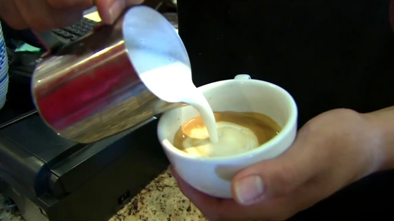 ¿Tomas más de una taza de café al día? Doctor habla sobre recomendaciones