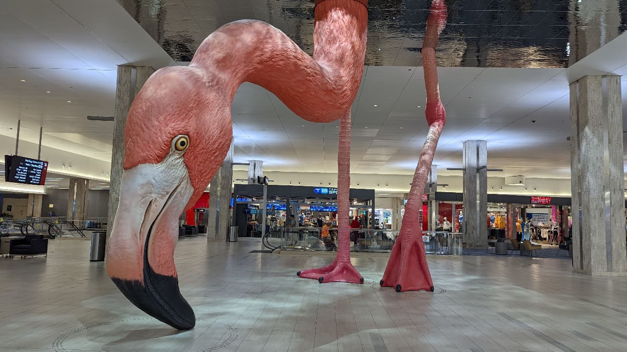 Aeropuerto Internacional de Tampa lanza concurso para ponerle nombre al flamenco gigante