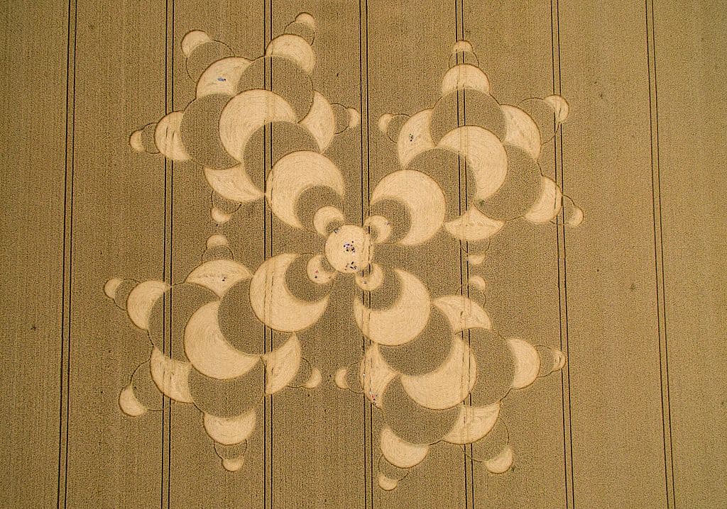 Mientras, más 'crop circles' surgen por aquí y por allá, sumando al mundo místico que tanto nos encanta debatir. Tú, ¿a quién le crees?