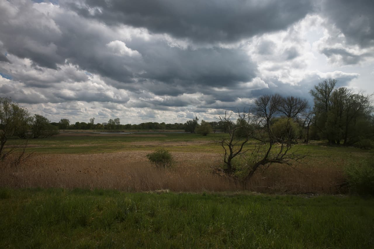 En esta foto del 30 de abril de 2020, las nubes cubren el cielo sobre el río Oder, cruzado por el Ejército Rojo soviético durante una batalla contra los nazis en 1945. “Parece idílico, pero es un gran cementerio”, dijo el tecnico en excavaciones Thomas Schiepert a la agencia AP. “Conviene no olvidarlo”.