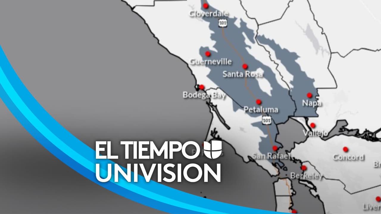 Aviso de niebla densa en el Área de la Bahía que afectará la visibilidad 