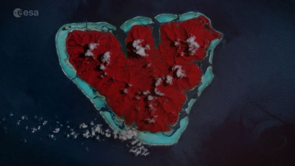 <b>Planta un árbol</b>
<br>Bien en tu jardín o en los espacios comunitarios. Las plantas proveen de oxigeno, alimento y abrigo para animales silvestre como para los humanos.
<br>
<br>La Isla Moorea, ubicada en la Polinesia Francesa