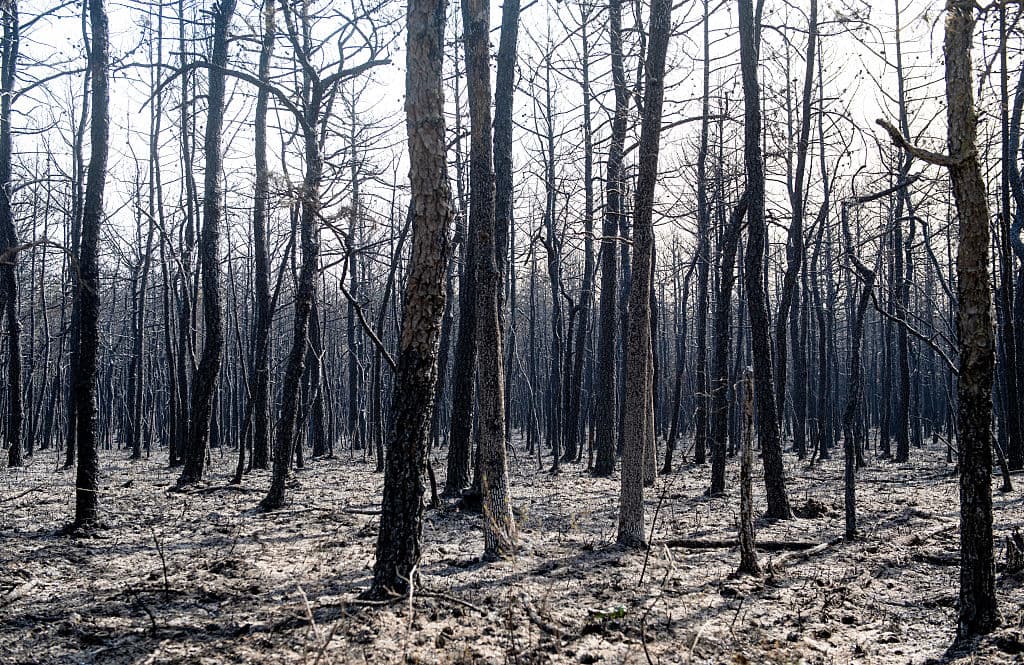 Aproximadamente 5,000 residentes del Condado de Ocean fueron evacuados de sus hogares el martes, aunque posteriormente se les permitió regresar.