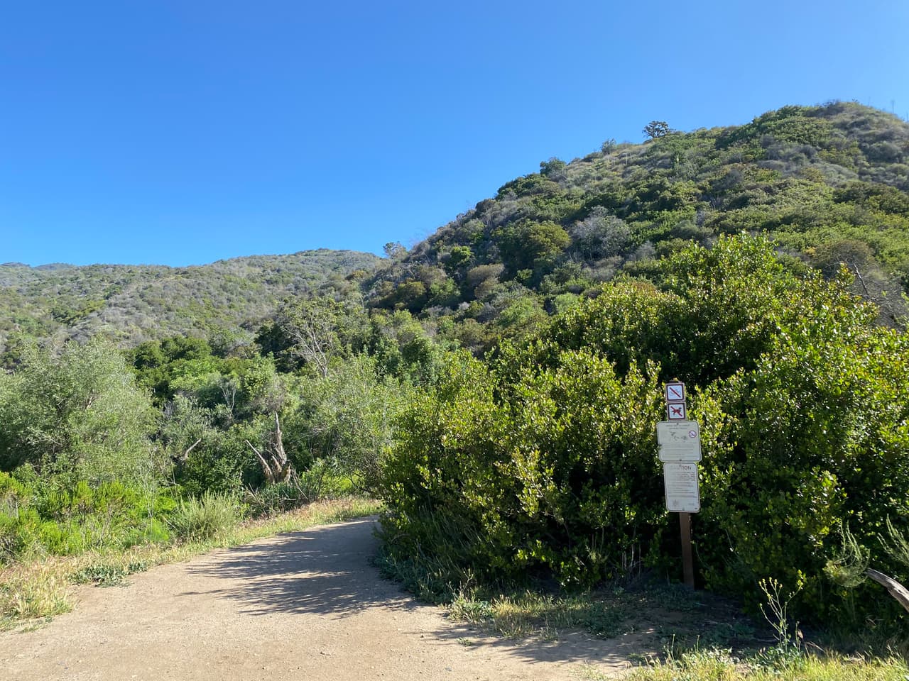 Visitar un sendero de montaña nos expone a la vida silvestre y aun cuando ese es el espíritu de dichos escapes, también es cierto que de no estar preparados, el paseo podría convertirse en una verdadera pesadilla.
<br>