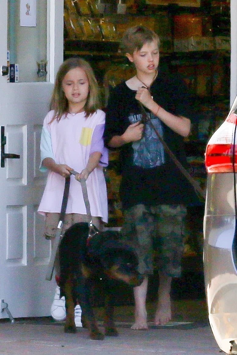 Shiloh y su hermana menor, Vivienne Marcheline Jolie-Pitt, paseando a su perro el 25 de mayo de 2017.