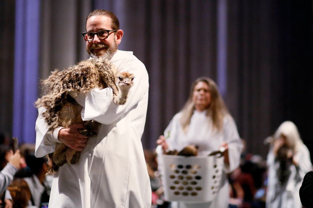 ¿Es un avestruz? ¿O esta ave tiene otro nombre? Exóticos animales formaron parte de este evento.