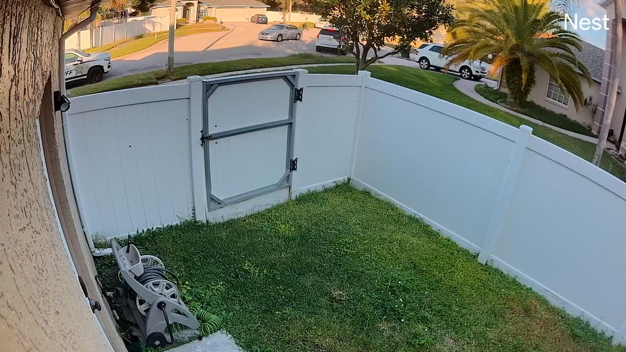 El incidente se registró este jueves por la mañana en Brandon, en la Bahía de Tampa.