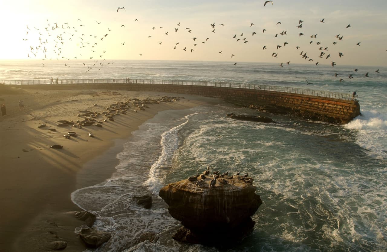 Playa Children's Pool Beach en La Jolla, en California