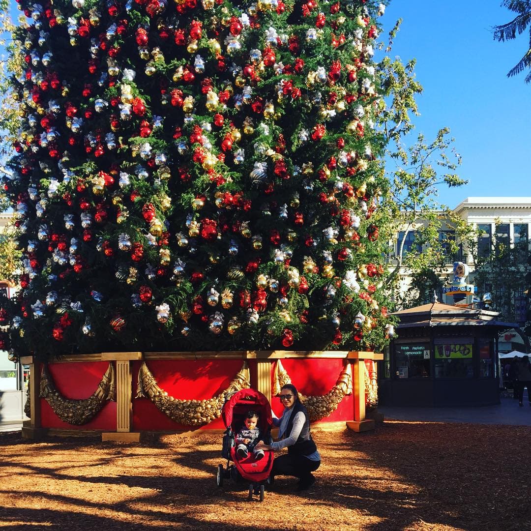 Ninel Conde y Emmanuel disfrutan ya de las fiestas navideñas y así posan junto a un gran árbol de Navidad.