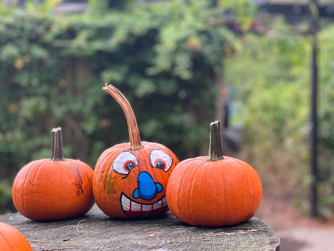 <h3 class="cms-H3-H3">BOO-Palooza en Wicker Park</h3>
<br>Parque Wicker (Charles, Joel), 1425 N. Damen Avenue
<br>
<b>Viernes 22 de Octubre</b>
<br>
<b>10:00 a.m .-- 2:00 p.m.</b>
<br>¡Todas las edades!
<br>¡Únase a nosotros para un huerto de calabazas, decoración de calabazas, pila de paja, música, desfile de perros y más! La donación sugerida es de $ 10 por familia o $ 10 por grupo de 2-4 adultos. Para obtener más detalles, comuníquese con el Consejo Asesor de Wicker Park: www.WickerPark.org
<br>