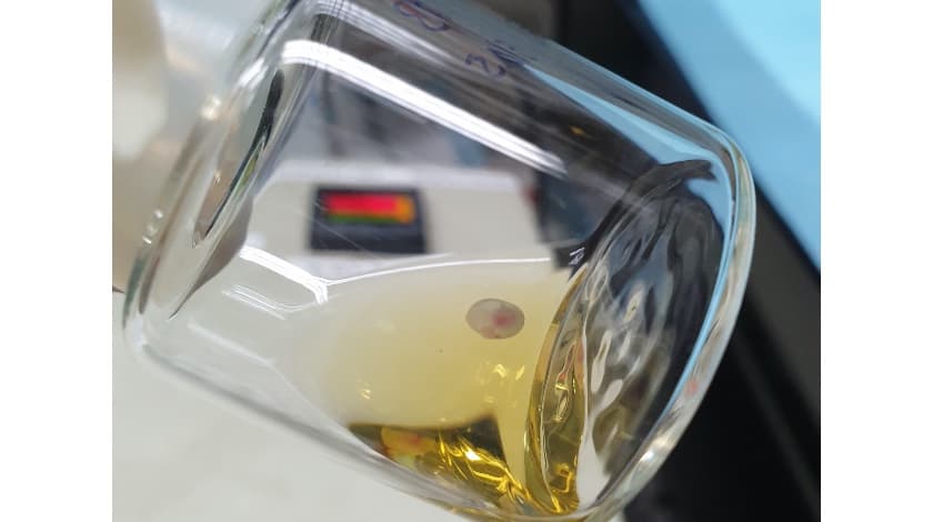 Embrión de ratón dentro de un frasco de vidrio del equipo desarrollado por el Instituto de Ciencias de Weizmann.