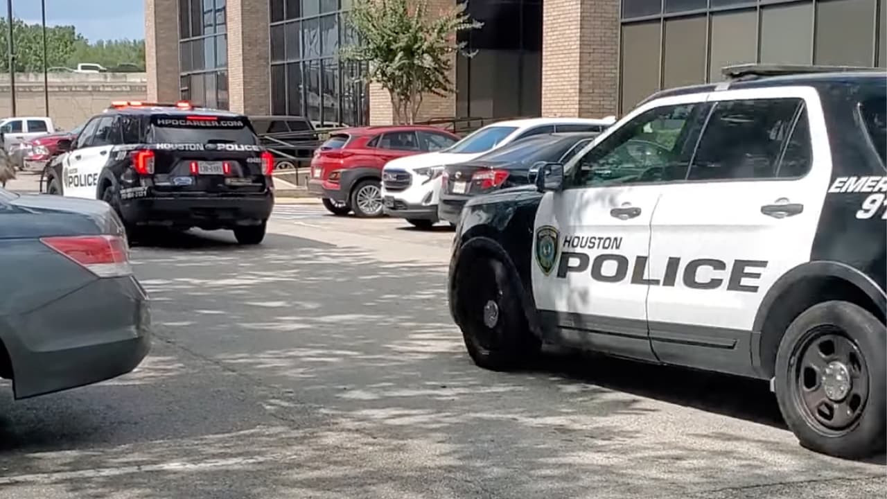 "Alguien perdió el avestruz", agregá fleming mientras continúa grabando la curiosa persecución.