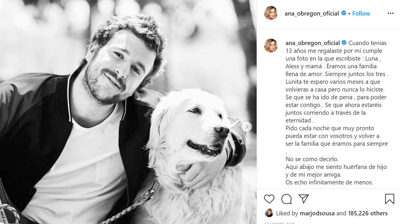 Lo confirmó con 
<b><a href="https://www.instagram.com/p/CBJQYoPK2iv/" target="_blank">esta foto</a></b> en la que aparece la perrita y el hijo de la actriz: "
<b>Lunita te esperó varios meses </b>a que volvieras a casa, pero nunca lo hiciste. Sé que se ha ido de pena para poder estar contigo. Sé que ahora estaréis juntos corriendo a través de la eternidad", fueron las dolorosas palabras que escribió.
<br>