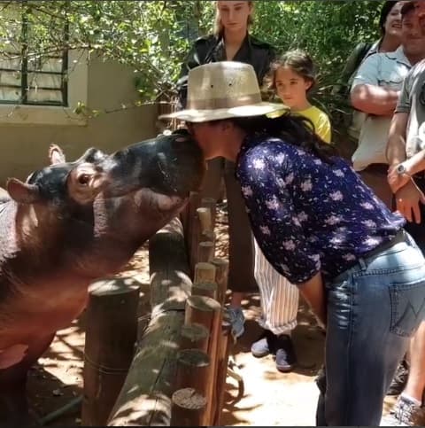 Otra de las famosas que cumplió uno de sus caprichos fue Salma Hayek, quien en su más reciente visita a Sudáfrica conoció a una hipopótamo llamada Jessica, quien pertenece a unas de las especies más peligrosas del reino animal.