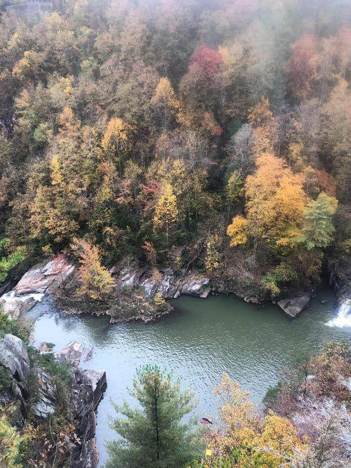 Puedes caminar a lo largo del borde hasta varios miradores con vistas a la cascada, u obtenga un permiso de la oficina del parque para caminar hasta el fondo.