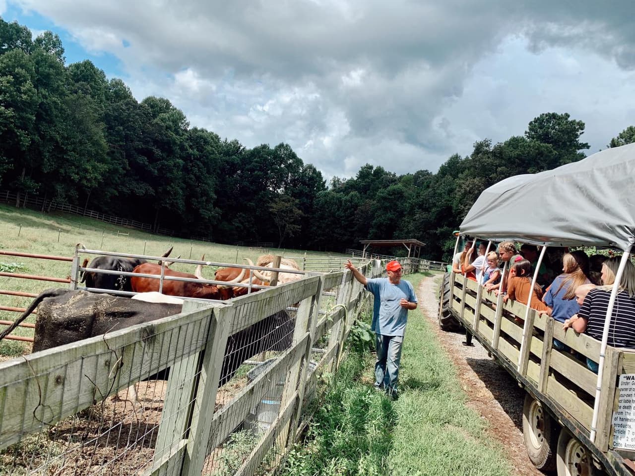 Además de recoger tus manzanas, también podrás disfrutar de una granja de mascotas durante la semana, y los fines de semana, hay diversión extendida para toda la familia con zip lines, ordeño de vacas, un laberinto de maíz, paseos en carreta y mucho más.