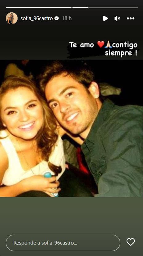 Algunos famosos amigos de Pablo Lyle externaron su apoyo al histrión en redes sociales, una de ellas fue Sofía Castro.
<br>