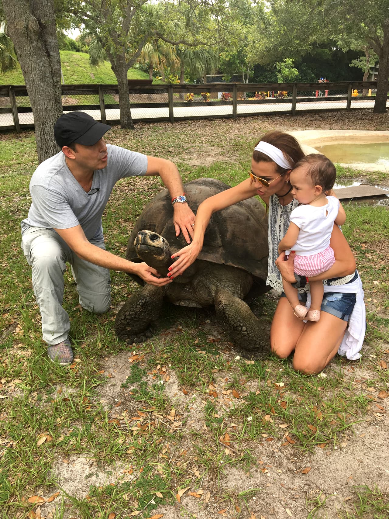 A esta tortuga gigante le encantan las caricias y Michelle no le quitaba la vista de encima.