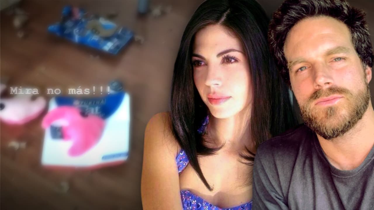 A semanas de convertirse en padres, los gatos de África Zavala y León Peraza los ponen a 'practicar' la paciencia