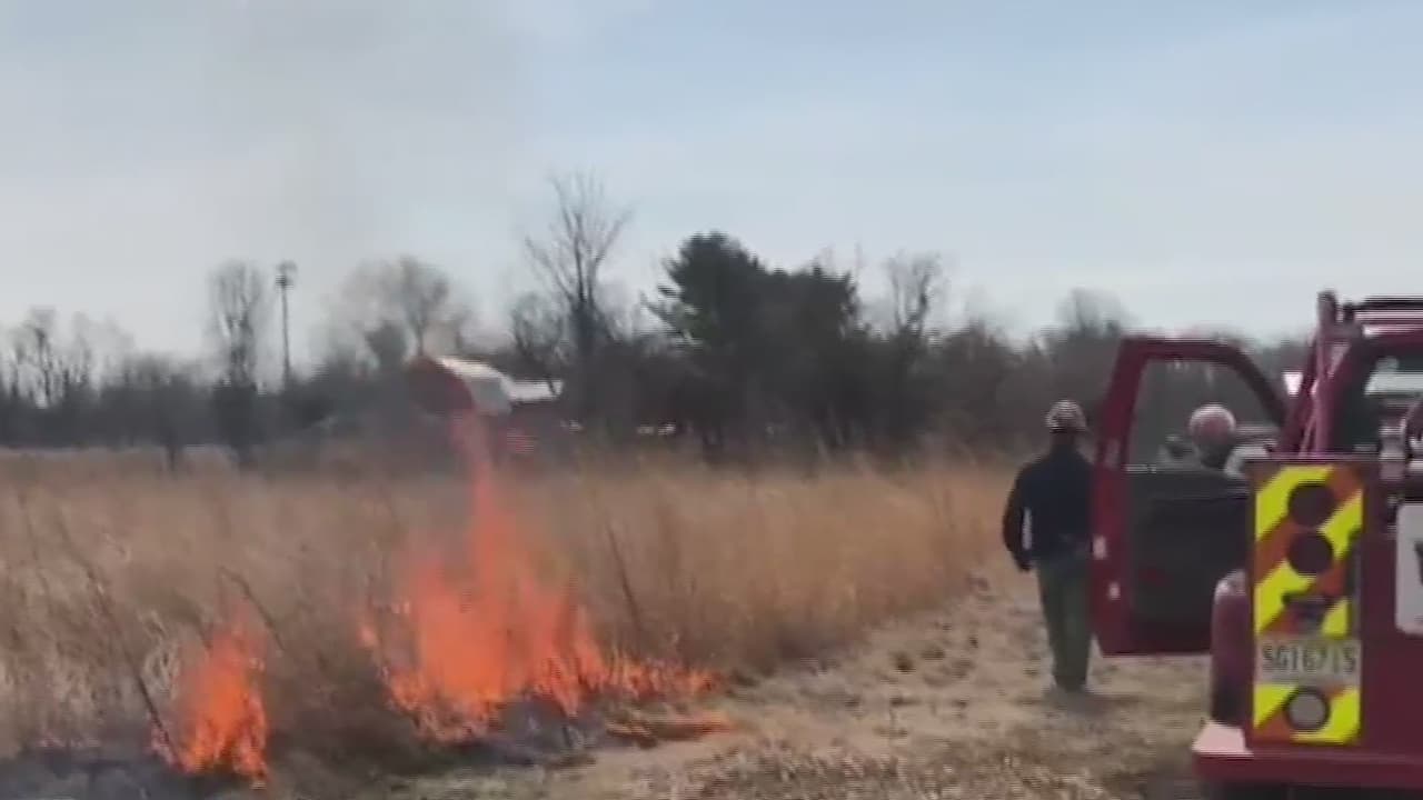 Las causas de los incendios forestales son muchas. El 
<a href="https://www.fws.gov/" target="_blank">Servicio de Pesca y Vida Silvestre de Estados Unidos </a>refiere que el 99% de las conflagraciones son provocadas por el hombre al realizar actividades agropecuarias y urbanas.