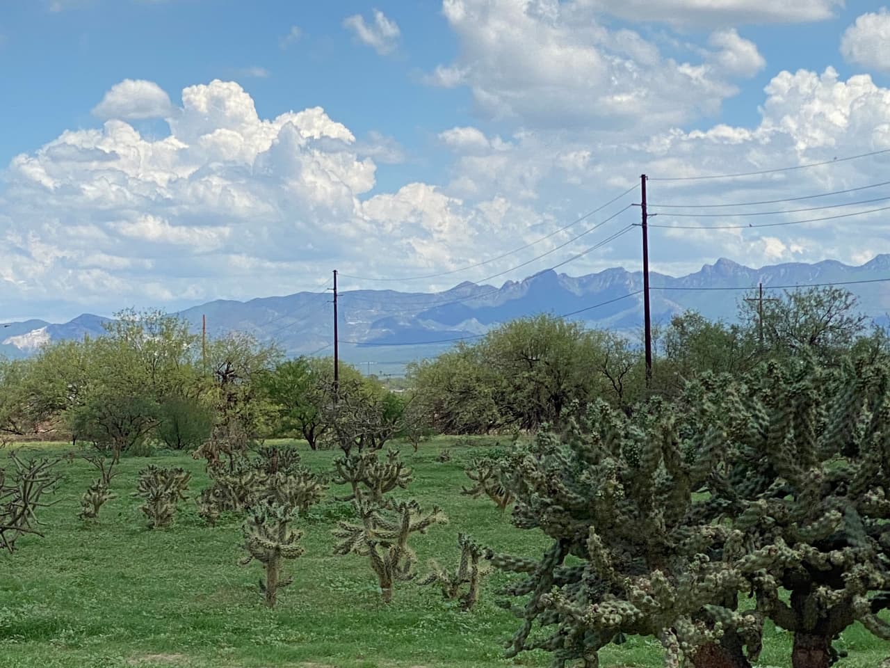 El Servicio Meteorológico de Tucson ha emitido 83 advertencias de inundaciones repentinas hasta el 30 de julio. Hubo 18 advertencias de este tipo el verano pasado.