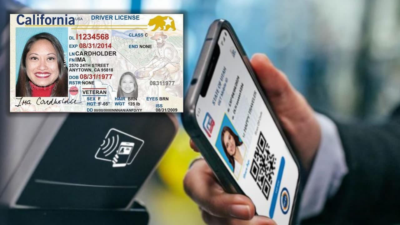 Licencia digital de California: ¿Cuándo se realizará el cambio y quiénes podrán tenerla?