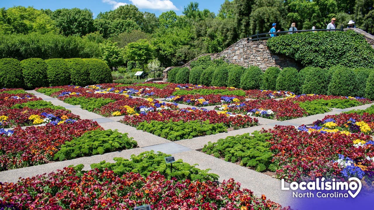 Así son los mejores jardines botánicos que podrás visitar en Carolina del Norte este 2023