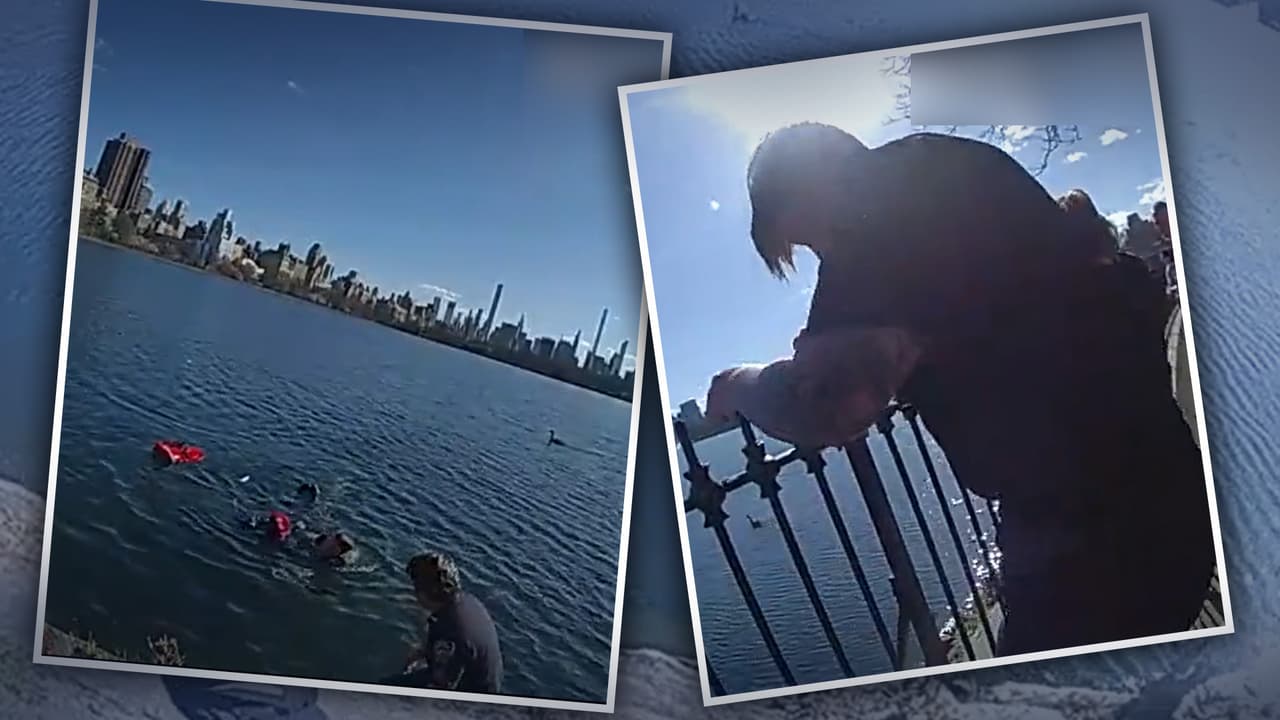 Una mujer queda atrapada en un lago de Central Park y este oficial va más allá de sus tareas para sacarla