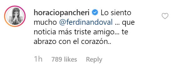 El actor argentino Horacio Pancheri también es padre, por lo que entiende el dolor por el que está pasando la pareja.