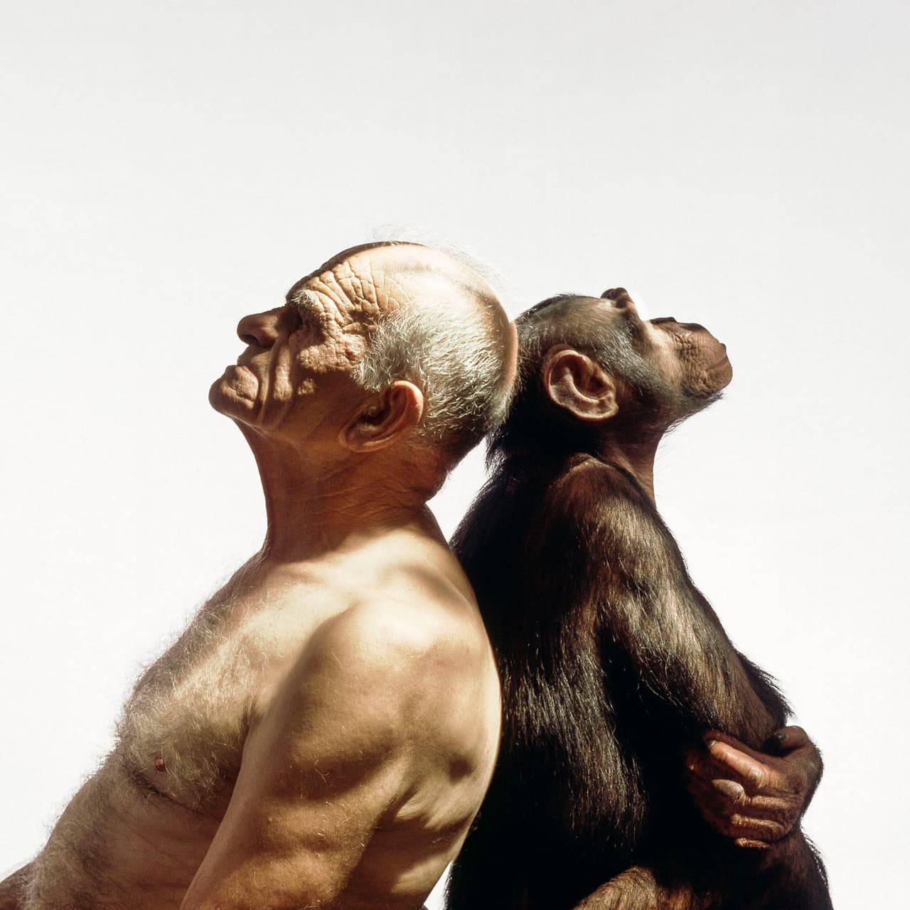 <b>‘El viejo y el simio’</b>
<br>
<br>Esta fotografía de estudio de un hombre y un chimpancé es uno de los trabajos destacados del fotógrafo
<a href="https://vitalimpacts.org/collections/james-balog"><u>James Balog</u></a>, quien durante cuatro décadas se ha dedicado a documentar la modificación que los seres humanos hemos hecho a la naturaleza.
<br>
<br>La imagen forma parte de
<a href="https://vitalimpacts.org/"><i>Vital Impacts</i></a>, una iniciativa impulsada por la galardonada fotógrafa Ami Vitale y la periodista visual Eileen Mignoni, quienes lograron reunir a 100 de los fotógrafos más importantes del mundo para colaborar por la preservación del mundo natural.