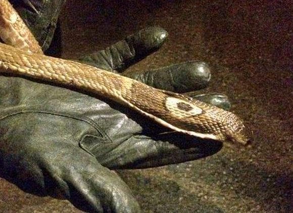 Investigan muerte de joven de 18 años como suicidio