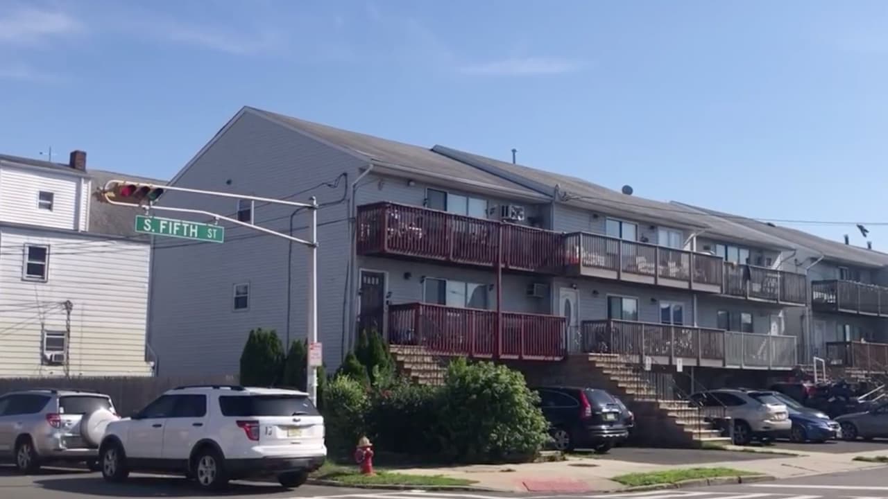 Sacrificarán a los perros que atacaron a un niño de 3 años tras caer de una ventana en Nueva Jersey