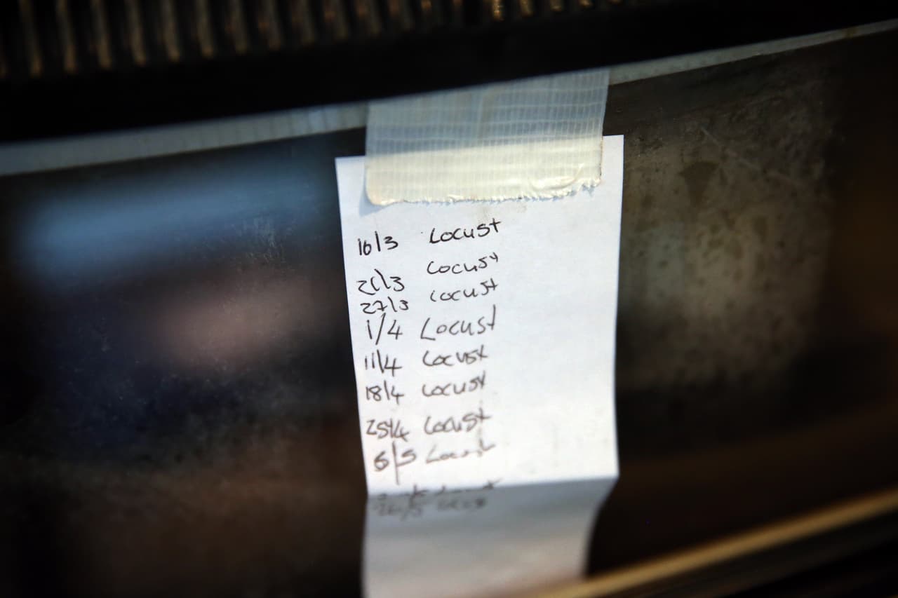 Son tan vigilados que incluso llevan estrictos horarios de alimentación, como se ve en esta lista.