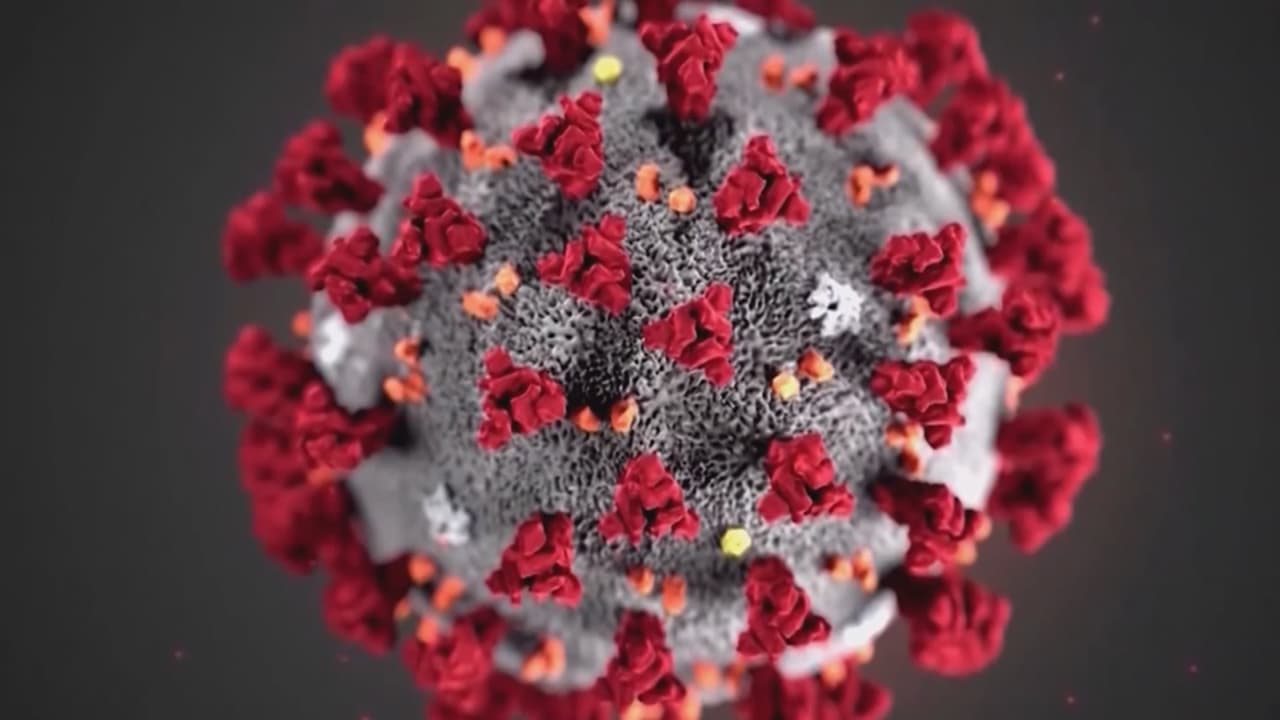 Escuela de Florida cerrará 2 semanas por posibles contactos con paciente con coronavirus