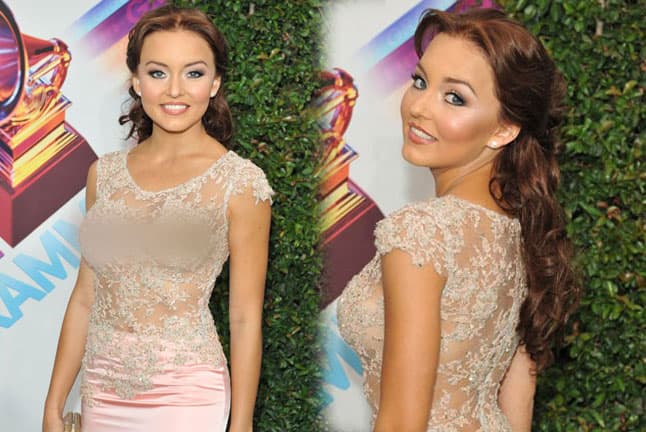 O-M-G! Angelique Boyer fue de las estrellas que no podemos olvidar, y tampoco su vestido, que lució en el 2011.