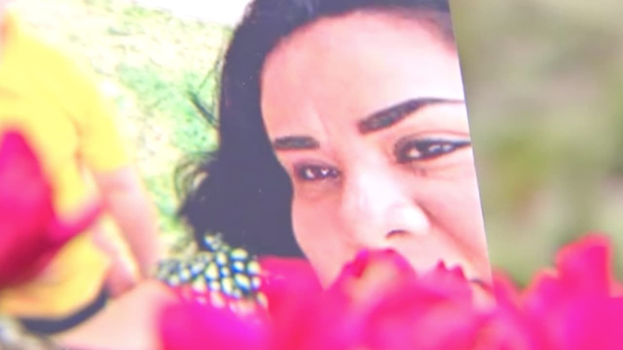 Hasta ahora no se explican cómo Juanita pudo haber contraído el virus. Aunque sufría de diabetes gestacional, su embarazo marchaba muy bien, hasta que los síntomas aparecieron el martes 9 de junio.
<br>