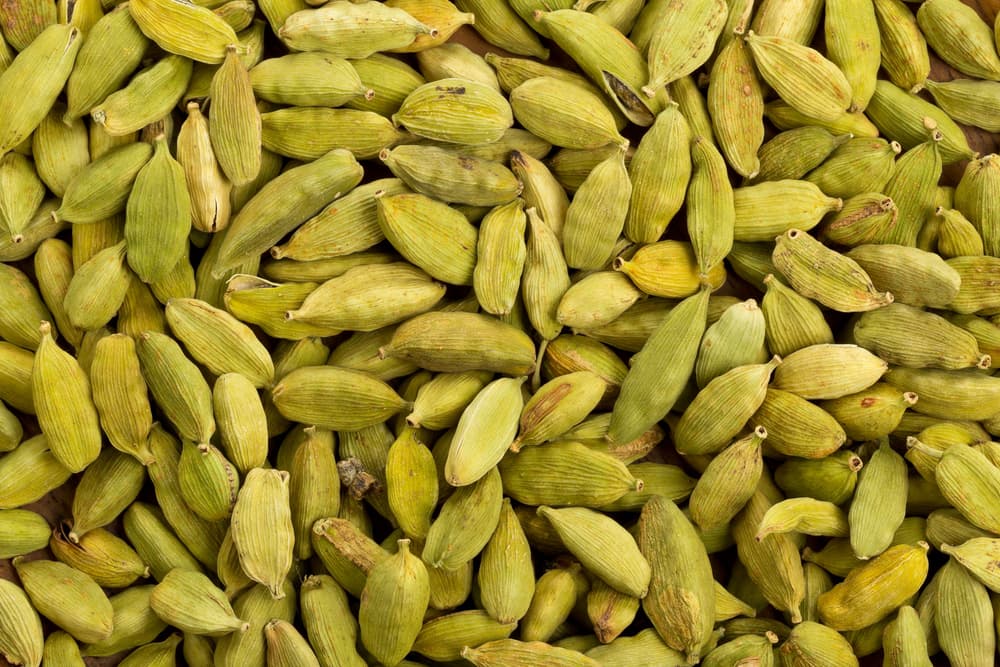 El cardamomo, que en algunas partes también se le conoce como "grano del paraíso", es una planta originaria de India y Sri Lanka, de la cual solamente se usan sus semillas, desde hace cientos de años no sólo para la gastronomía, sino también en la medicina y el esoterismo.