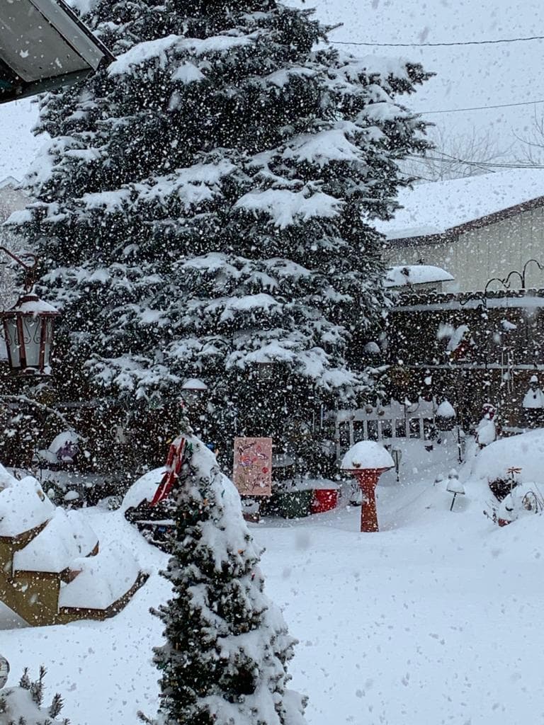 Más y más nieve en Northampton.