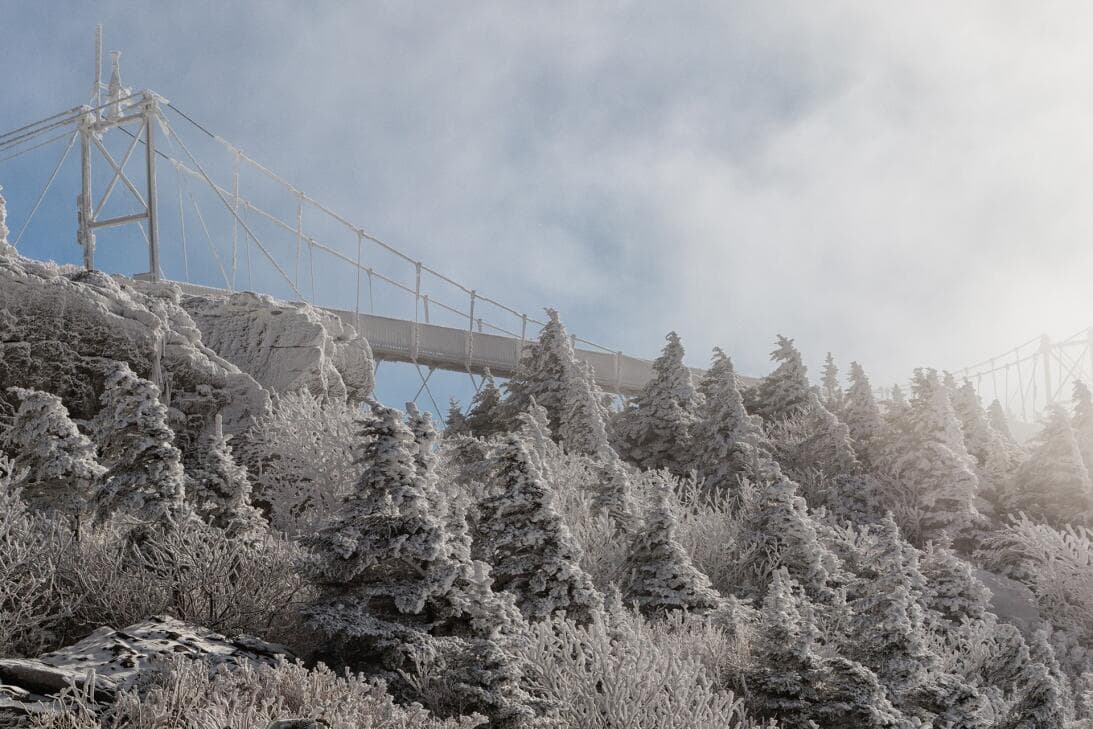 <b>Mira también</b>: 
<b><a href="https://www.univision.com/local/north-carolina-wuvc/parque-de-carolina-del-norte-escapada-de-fin-de-semana-enero-fotos" target="_blank">Este parque de Carolina del Norte tiene lo que buscas para una escapada de fin de semana en enero</a></b>