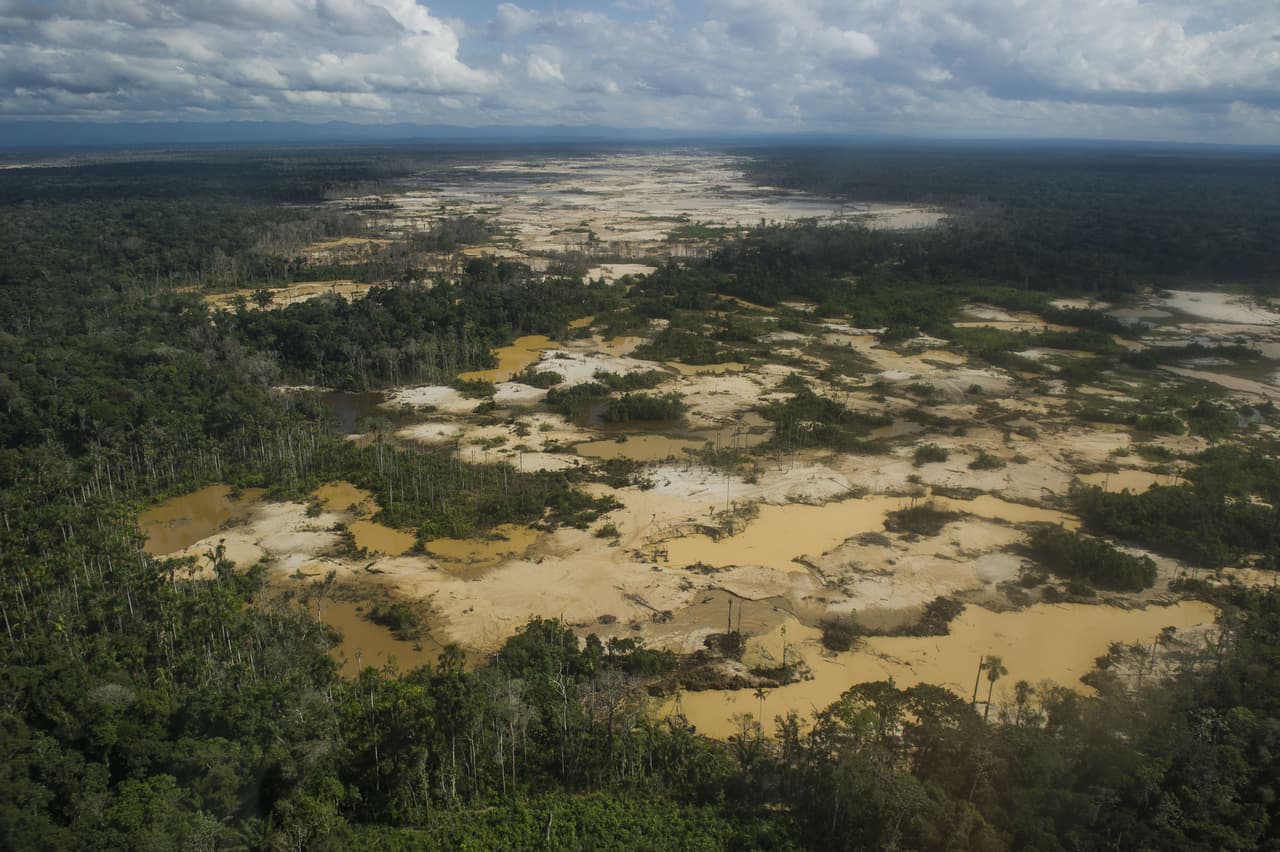 En Madre de Dios se concentra el 20% de la producción de oro de Perú, la mayoría de forma ilegal en bosques y cauces de los ríos. En el área se han destruido al menos 60,000 hectáreas de selva.