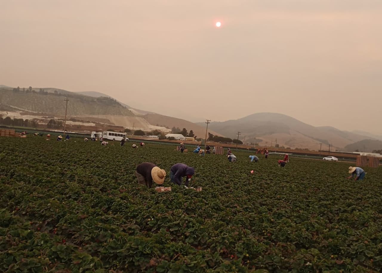 Compartida por Bryan Salvador