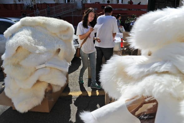 Las autoridades australianas indicaron que la búsqueda con radares del avión malasio desaparecido el pasado 8 de marzo con 239 personas a bordo ha sido infructuosa y replantearon una "estrategia visual" para localizar los posibles restos del aparato en el océano Índico. Dos aeronaves con "observadores entrenados" asomados a las ventanillas rastrean una zona de la extensión de la península Ibérica al suroeste de Australia, mientras otras dos se encuentran en camino para peinar la región donde ayer fueron detectados en unas imágenes de satélite dos objetos que podrían pertenecer a la aeronave. Un avión P3 Orion de las Fuerzas Aéreas australianas regresó este viernes a su base después de sobrevolar sin resultados positivos el lugar, señaló Young. Tony Abbott, declaró que harán "todo lo posible" para encontrar y confirmar si los restos pertenecen al vuelo MH370. "Ahora mismo podrían ser unos contenedores que han caído de un barco, nosotros no sabemos", advirtió Abbott.