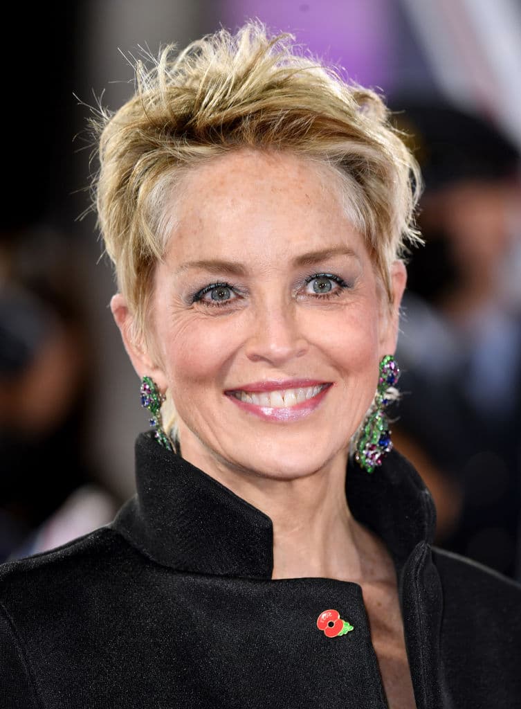 Desde que Sharon Stone descubrió este corte de pelo, no ha dejado de usarlo pues se ve espectacular y le quita años de encima.